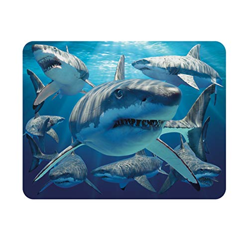 Deluxebase 3D LiveLife Magnet - Große Weiße Haifisch Linsenförmige 3D Ozean Kühlschrankmagnet. Dekoration für Kinder und Erwachsene mit Kunstwerk lizenziert von bekannt Künstler, David Penfound von Deluxebase