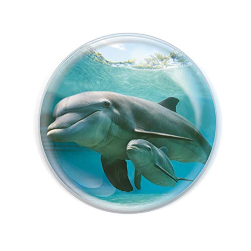 Magnidome Deluxebase Delphin Delphin Kristallglas Kühlschrank Magnet für Kinder. Hervorragende gewölbte Magnete für Wohndekoration und Zubehör von Deluxebase