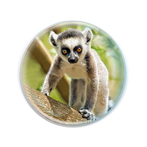 Magnidome Deluxebase Kattas Lemur Kristallglas Kühlschrank Magnet für Kinder. Hervorragende gewölbte Magnete für Wohndekoration und Zubehör von Deluxebase