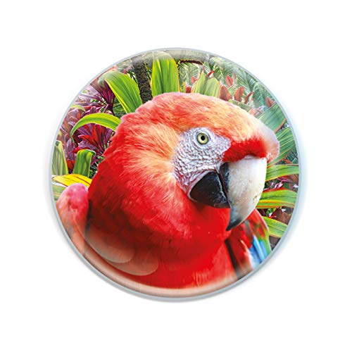 Deluxebase Magnidome - Papagei Tropischer Vogel Kristallglas Kühlschrank Magnet für Kinder. Hervorragende gewölbte Magnete für Wohndekoration und Zubehör von Deluxebase
