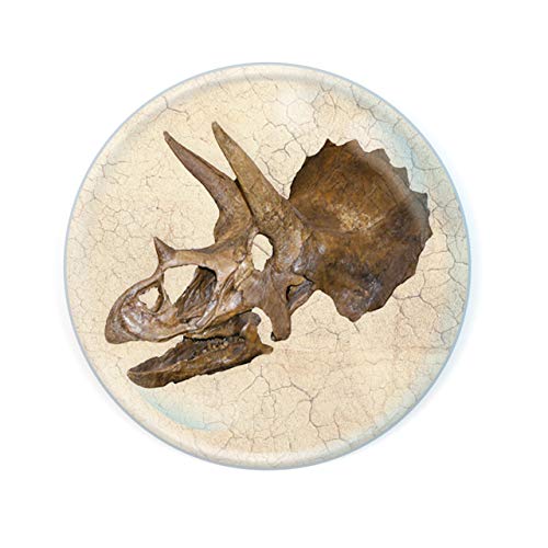 Deluxebase Magnidome - Triceratops Schädel Diosaurier Kristallglas Kühlschrank Magnet für Kinder. Hervorragende gewölbte Magnete für Wohndekoration und Zubehör von Deluxebase