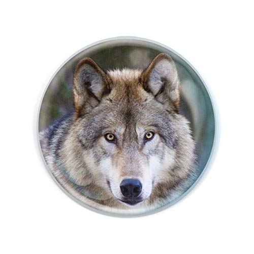 Deluxebase Magnidome - Wolf Wolf Kristallglas Kühlschrank Magnet für Kinder. Hervorragende gewölbte Magnete für Wohndekoration und Zubehör von Deluxebase