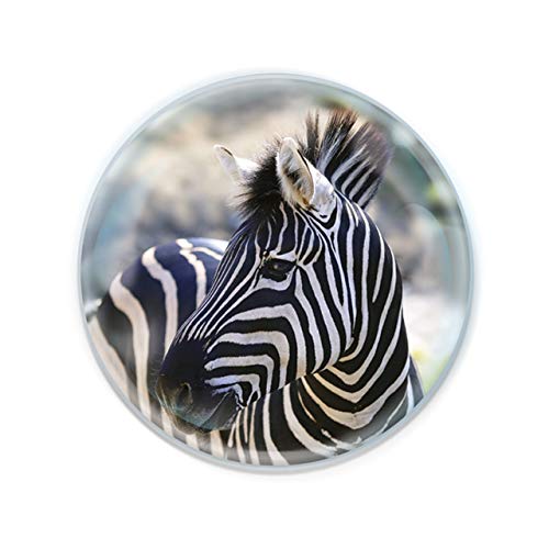 Deluxebase Magnidome - Zebra Safari Tier Kristallglas Kühlschrank Magnet für Kinder. Hervorragende gewölbte Magnete für Wohndekoration und Zubehör von Deluxebase