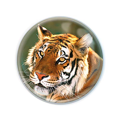 Magnidome Deluxebase Tiger Große Katze Kristallglas Kühlschrank Magnet für Kinder. Hervorragende gewölbte Magnete für Wohndekoration und Zubehör von Deluxebase