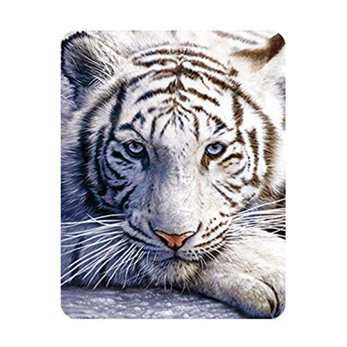 Deluxebase 3D LiveLife Magnet - Weiße Tigerruhe Linsenförmige 3D Große Katze Kühlschrankmagnet. Dekoration für Kinder und Erwachsene mit Kunstwerk lizenziert von bekannt Künstler, David Penfound von Deluxebase