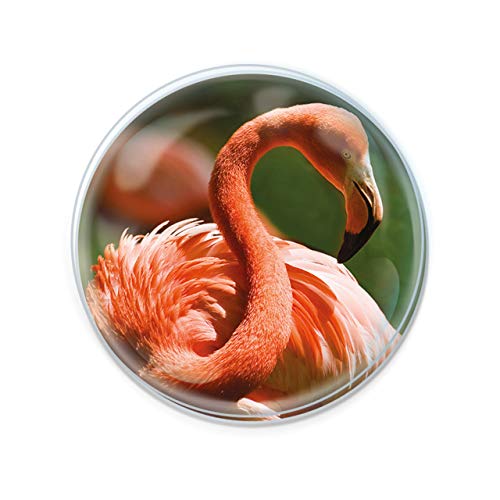 Magnidome Deluxebase Flamingo Flamingo Kristallglas Kühlschrank Magnet für Kinder. Hervorragende gewölbte Magnete für Wohndekoration und Zubehör von Deluxebase