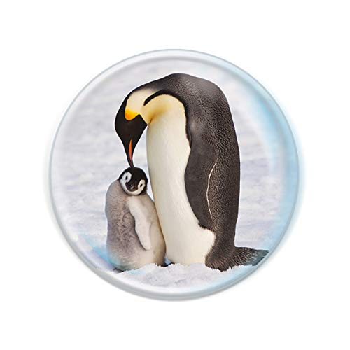 Deluxebase Magnidome - Pinguin Pinguin Kristallglas Kühlschrank Magnet für Kinder. Hervorragende gewölbte Magnete für Wohndekoration und Zubehör von Deluxebase