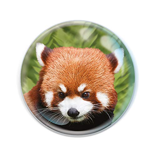 Magnidome Deluxebase Roter Panda Panda Kristallglas Kühlschrank Magnet für Kinder. Hervorragende gewölbte Magnete für Wohndekoration und Zubehör von Deluxebase