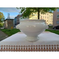 Löwenkopfterrine/Schüssel Weiß H 10cm D 14 cm Xxl Groß Seltmannweiden von DemDemShop