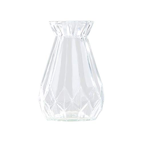 Demarkt Farbglasvase Blumenanordnung hydroponische kleine Glasflasche transparente Vase für Sukkulenten Air Pflanzgefäß Blüten Pflanzen Dekoration von Demarkt