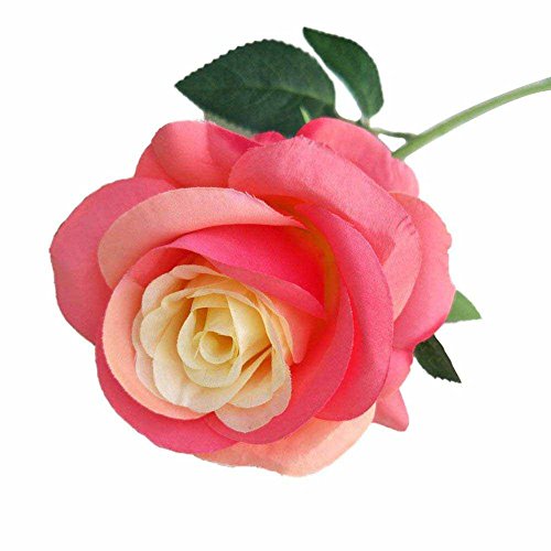 Demarkt Künstliche Rose Blumen Seidenrosen Deko Gefälschte Blumen für Wohnaccessoires Deko Orange mit Hellrosa von Demarkt
