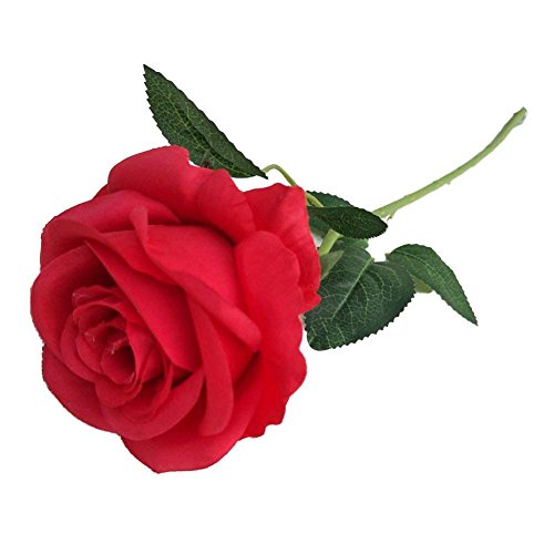 Demarkt Künstliche Rose Blumen Seidenrosen Deko Gefälschte Blumen für Wohnaccessoires Deko Rot von Demarkt