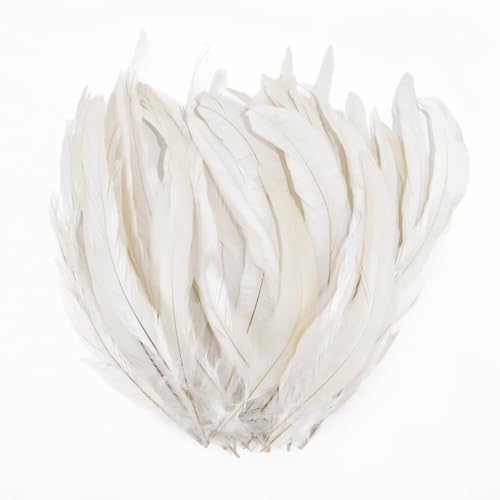 Demarsen 20Pcs Federn Weiss Groß 25-30cm Natur Hahn Feder Hahnenfeder Fasanenfeder Federn zum Basteln Deko Federn für DIY Basteln Kostüme Kopfschmuck Ostern Halloween Weihnachten von Demarsen