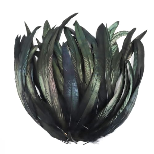 Demarsen 20Pcs Schwarze Federn Groß 25-30cm Natur Hahn Feder Hahnenfeder Fasanenfeder Federn zum Basteln Deko Federn für DIY Basteln Kostüme Kopfschmuck Ostern Halloween Weihnachten von Demarsen