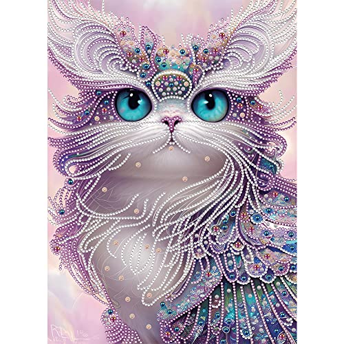 5D DIY Diamond Painting Bilder Eule Set,Teilbohrer Diamant Painting Kinder Bilder Tier Kit, Mosaikherstellung Diamantmalerei Deko 30x40cm (R) von Demiawaking