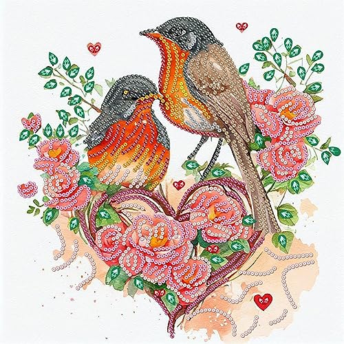 5D DIY Diamond Painting Bilder Tiere Set, Teilbohrer Diamant Painting Quilling Malerei Kolibri Eule Kit, Mahlen nachen Zahlen Diamant Malerei Deko Geschenk 30x30cm (J) von Demiawaking