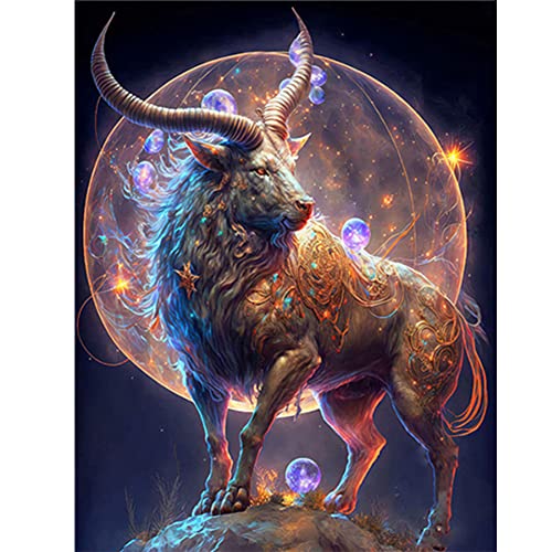 5D DIY Full Drill Diamond Painting Konstellation Bilder, Diamant Painting The Zodiac Kit Sternzeichen Deko, Mahlen nach Zahlen Diamantmalerei 30x40cm (Steinbock) von Demiawaking