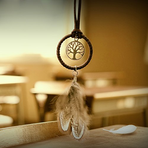 Demiawaking 3Pcs Traumfänger mit Federn Auto Dreamcatcher Deko Handwerk Geschenk von Demiawaking