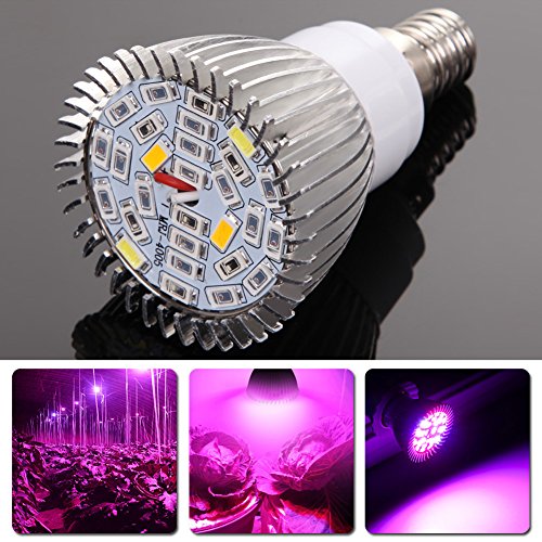 Demiawaking Vollspektrum 10W E14 Wachstumslampe AC85-265V Pflanze Grow Lampe Demiawaking Vollspektrum 10W E14 Wachstumslampe AC85-265V Pflanze Grow Lampe von Demiawaking