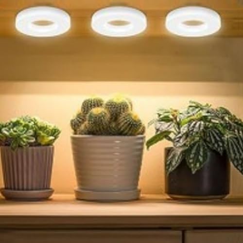 LED Pflanzenlampe Wachstumslicht, Vollspektrum Wachstumslampen für Pflanzen, 3000-6000K, 3 Timing, 48LED, Dimmbar Pflanzenlicht für Setzlinge, Sukkulenten, Blumen (3 Kopf) von Demiawaking