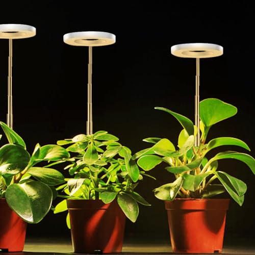 LED Pflanzenlampe Wachstumslicht, Vollspektrum Wachstumslampen für Pflanzen, 3000-6000K, Timing, 48LED, wasserdicht Pflanzenlicht für Setzlinge, Sukkulenten, Blumen (Warmweiss Licht, Doppelkopf) von Demiawaking