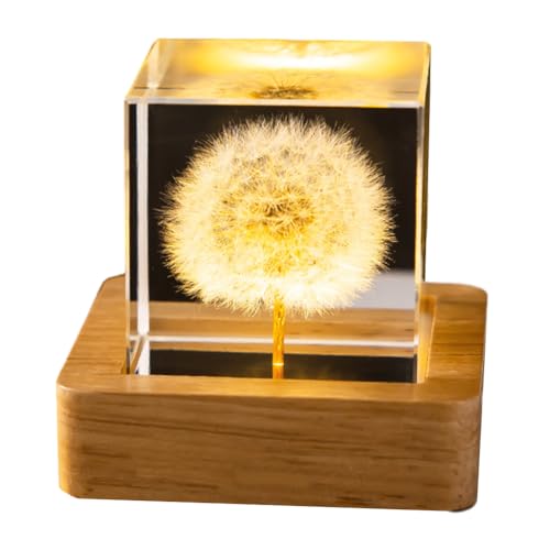 USB 3D Kristallkugel mit Holzsockel Blumen, Tischdeko Löwenzahn LED Lampe Kinder Nachtlicht, Geburtstag Kinder Geschenke, Party Deko (D) von Demiawaking