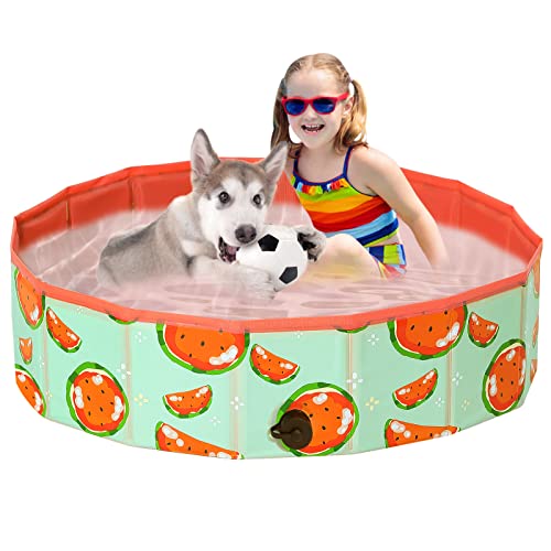 Demigreat Hundepool fur Große Kleine Hunde,80/120/ 160CM Faltbar Hunde Planschbecken, Tragbar & Eco-Friendly PVC Hunde Pool, Wassermelone von Demigreat