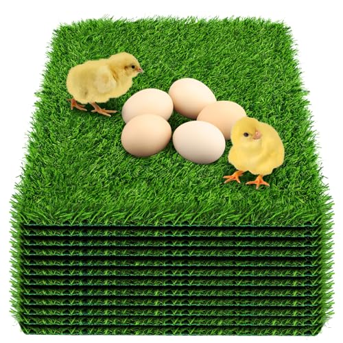DenForste Hühner-Nistkasten-Pads – waschbare Kunstrasen-Nistpads – Hühner-Nistpads für Hühnerstall und Haustiergarten, Rasen, drinnen und draußen, 30,5 x 30,5 x 2,5 cm, 12 Stück DenForste Hühner-Nistkasten-Pads – waschbare Kunstrasen-Nistpads – Hühner-Nistpads für Hühnerstall und Haustiergarten, Rasen, drinnen und draußen, 30,5 x 30,5 x 2,5 cm, 12 Stück von DenForste