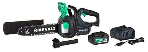 Amazon-Marke: Denali by SKIL Bürstenloses 30 cm Kettensäge-Set (12 Zoll) mit 18 V (20 V MAX), inklusive 4,0-Ah-Lithium-Akku und Ladegerät von Denali