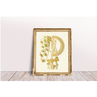 Göttlich Weiblich Kunstdruck Boho Pilz, Regenbogen, Empowerment Göttlich Weiblich Kunstdruck Boho Pilz, Regenbogen, Empowerment von DenaliARTstudio