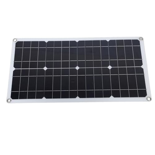 Denash 100W Effizient von Denash