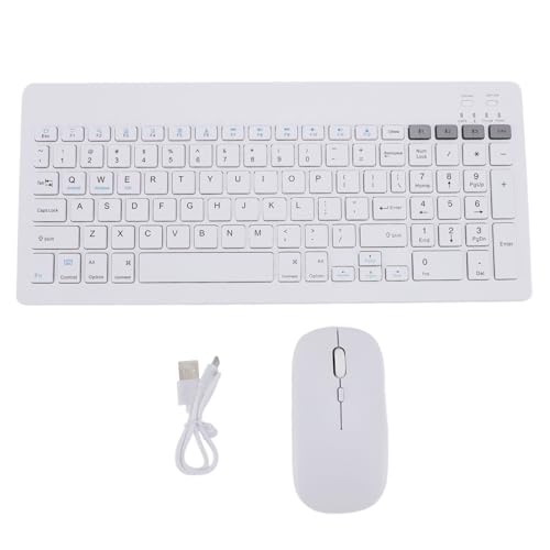 Denash Combo für Drahtlose Tastatur und Maus, Leiser Modus Ergonomisches Design USB -Empfänger Li -Akku, für, für (White) von Denash