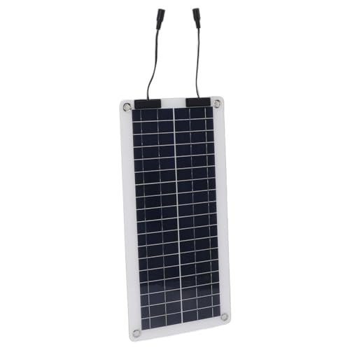 Denash Dual Output Solar Panel Ladekit mit Rotem Schwarzem Batterieclip OBD Ladegerät Wasserdichte Controller für RV -Boot ABS 30W Blau von Denash