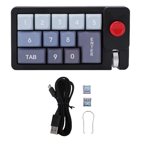 Denash Mechanische Makro -Tastatur, RGB Backlight Joystick Roller Kompatibel mit XP Vista OS X, Hot Swappable Numpad Keyboard, Wired USB Typ C -Verbindung (Black) von Denash