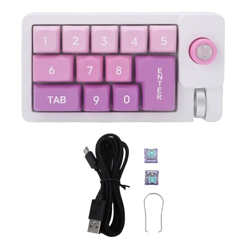 Denash Mechanische Makro -Tastatur, RGB Backlight Joystick Roller Kompatibel mit XP Vista OS X, Hot Swappable Numpad Keyboard, Wired USB Typ C -Verbindung (Green) von Denash