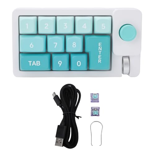 Denash Mechanische Makro -Tastatur, RGB Backlight Joystick Roller Kompatibel mit XP Vista OS X, Hot Swappable Numpad Keyboard, Wired USB Typ C -Verbindung (Purple) von Denash