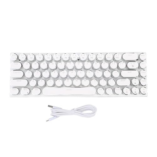 Denash RGB Compact Gaming -Tastatur, 68 Tasten RGB LED Backlight Wired Mechanical Gaming -Tastatur für 98/NT/2000 (Weiße Farbe Blauer Schalter) von Denash