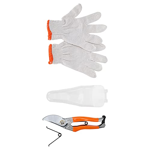 Denash Schnittscherenlegungsstahlschneiderkopf Zum Gartenschneidemittel mit Nicht überrutschem Griff Hand Pruner Baumzweigen Schere und, 205 Mm/8,1 Zoll, Geeignet für Gartenarbeit und Blumeninsertion von Denash