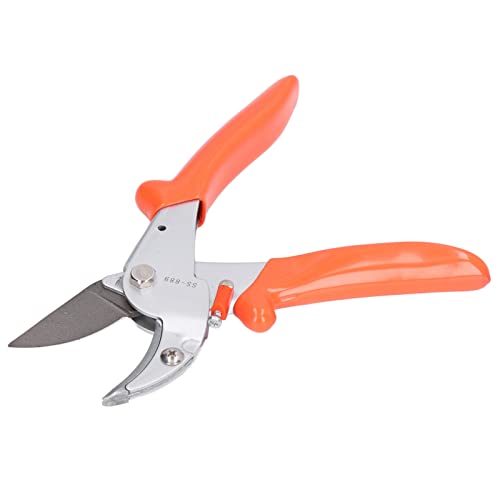 Denash Spitze Schaufel/Flügelschneide Schere Schwerlast -Obst -Zweigschere für Gartenbeschnitte, Ideales Werkzeug für und Innenhöfe von Denash