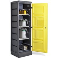 Denios Chemikalienschrank aus PE, HxBxT 1.990 x 610 x 640 mm, 4 Edelstahl-Gitterroste von Denios