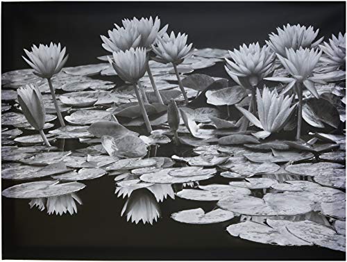 Dennis Frates Pond Abundance 60 x 80cm Canvas Print Leinwanddruck, Mehrfarbig, 60 x 80 cm von Dennis Frates