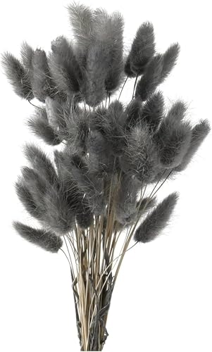 50PCS Pampasgras Trockenblumen, 45 cm Natürliche Lagurus Getrocknet Blumen Getrocknetes Schilfgras Getrocknetes Pampasgras für Hochzeit Hause Party Wedding Büro Fotografie Vase Deko (Grau) von Denxahao