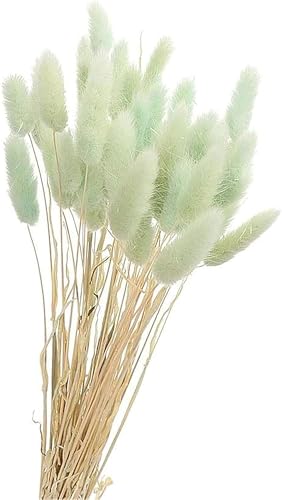 50PCS Pampasgras Trockenblumen, 45 cm Natürliche Lagurus Getrocknet Blumen Getrocknetes Schilfgras Getrocknetes Pampasgras für Hochzeit Hause Party Wedding Büro Fotografie Vase Deko (Himmelblau) von Denxahao