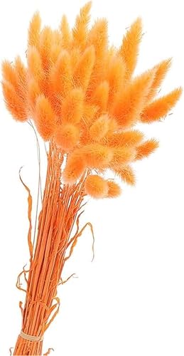 50PCS Pampasgras Trockenblumen, 45 cm Natürliche Lagurus Getrocknet Blumen Getrocknetes Schilfgras Getrocknetes Pampasgras für Hochzeit Hause Party Wedding Büro Fotografie Vase Deko (Orange) von Denxahao