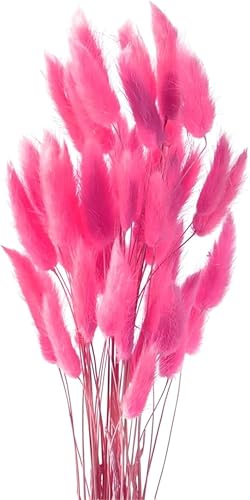 50PCS Pampasgras Trockenblumen, 45 cm Natürliche Lagurus Getrocknet Blumen Getrocknetes Schilfgras Getrocknetes Pampasgras für Hochzeit Hause Party Wedding Büro Fotografie Vase Deko (Rosarot) von Denxahao