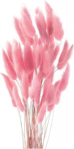 50PCS Pampasgras Trockenblumen, 45 cm Natürliche Lagurus Getrocknet Blumen Getrocknetes Schilfgras Getrocknetes Pampasgras für Hochzeit Hause Party Wedding Büro Fotografie Vase Deko (Rose) von Denxahao