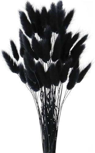 50PCS Pampasgras Trockenblumen, 45 cm Natürliche Lagurus Getrocknet Blumen Getrocknetes Schilfgras Getrocknetes Pampasgras für Hochzeit Hause Party Wedding Büro Fotografie Vase Deko (Schwarz) von Denxahao