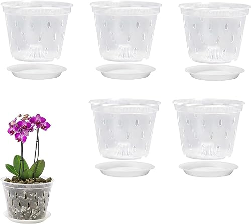Denxahao 5PCS Durchsichtiger Blumentopf mit Drainagelöchern und Untertasse, Topf für orchideen, Orchideen-Umtopfset Kunststoff Blumentöpfe Pflanztöpfe Anzuchttöpfe Sämlings Töpfe (12.5cm mit Tablett) von Denxahao
