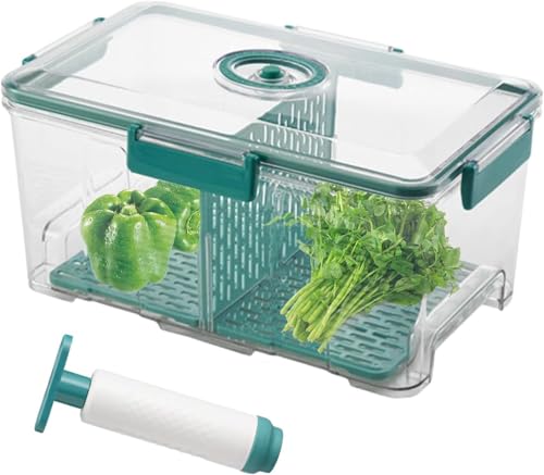 Denxahao Brotbox Rechteckige Vakuumdose Vakuumbox Handvakuumierer mit Deckel Vakuumbehälter Perfekt für Frischhalten von Lebensmitteln Sealed box storage vacuum fresh-keeping box (Grün) von Denxahao