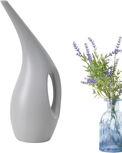Denxahao Gießkanne 1.5L Blumengießkanne Innengießkanne für Sukkulenten Garten aus robustem Kunststoff Gartengießkanne mit Abnehmbarer Brause zur einfachen Bewässerung von Blumen (1.5L Gray) von Denxahao